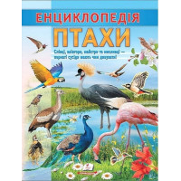 Енциклопедія. Птахи — дитяча книга про птахів