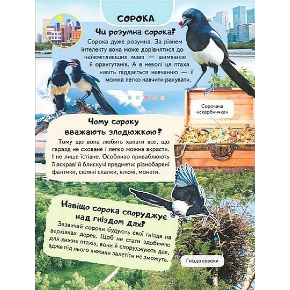 Енциклопедія. Птахи — дитяча книга про птахів Енциклопедія. Птахи — дитяча книга про птахів