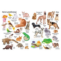 Перші слова. Тварини + англійська — навчальна книга для дітей
