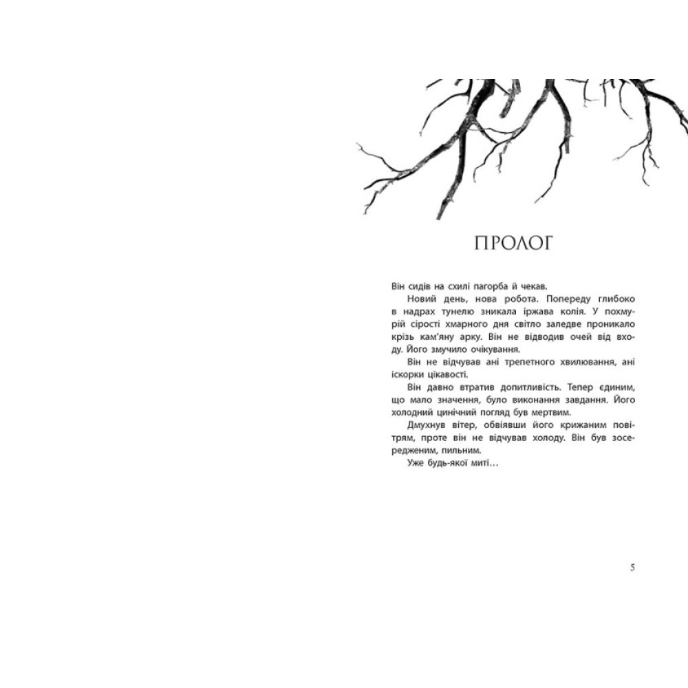 Провідник. Книга 1 Ранок Клер Мак-Фолл Провідник. Книга 1 Ранок Клер Мак-Фолл