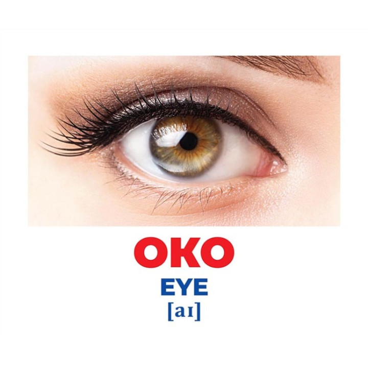 Геній з пелюшок Будова тіла Демонстраційний матеріал Ранок