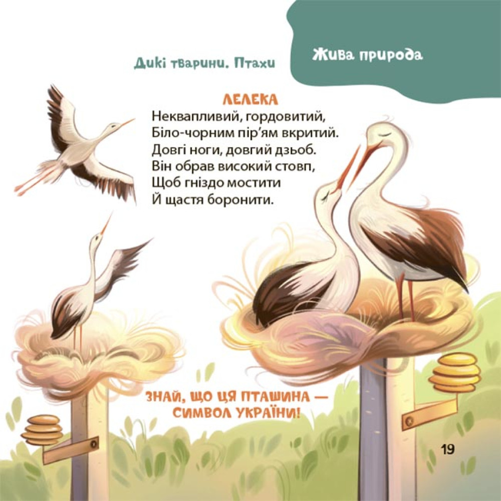 Віршенята-загадки для малят. 3-5 років Основа Матусина бібліотечка Юлія Пеліхова