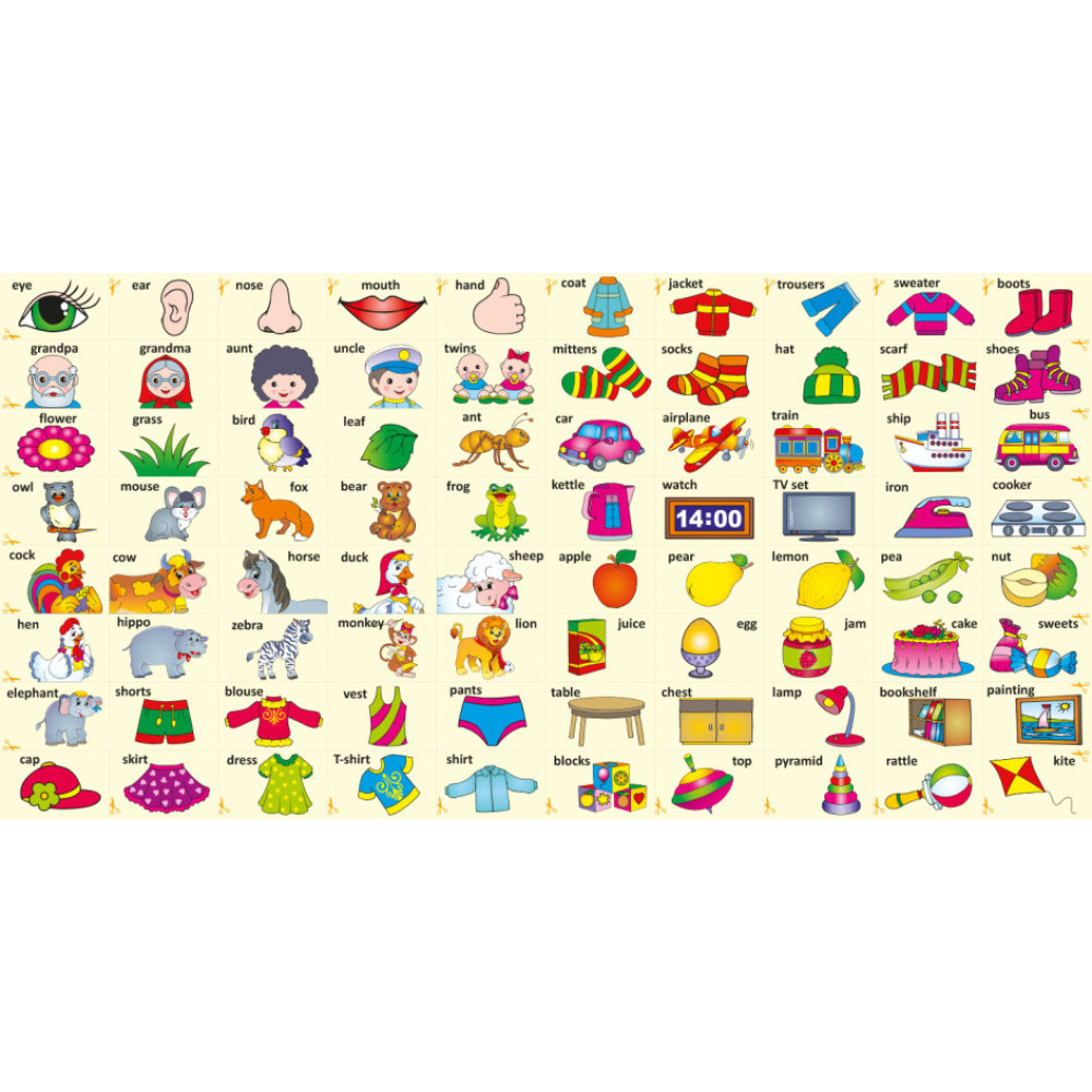 Розвивалочка. Вивчаємо English з наліпками Ранок Розвивалочка. Вивчаємо English з наліпками Ранок