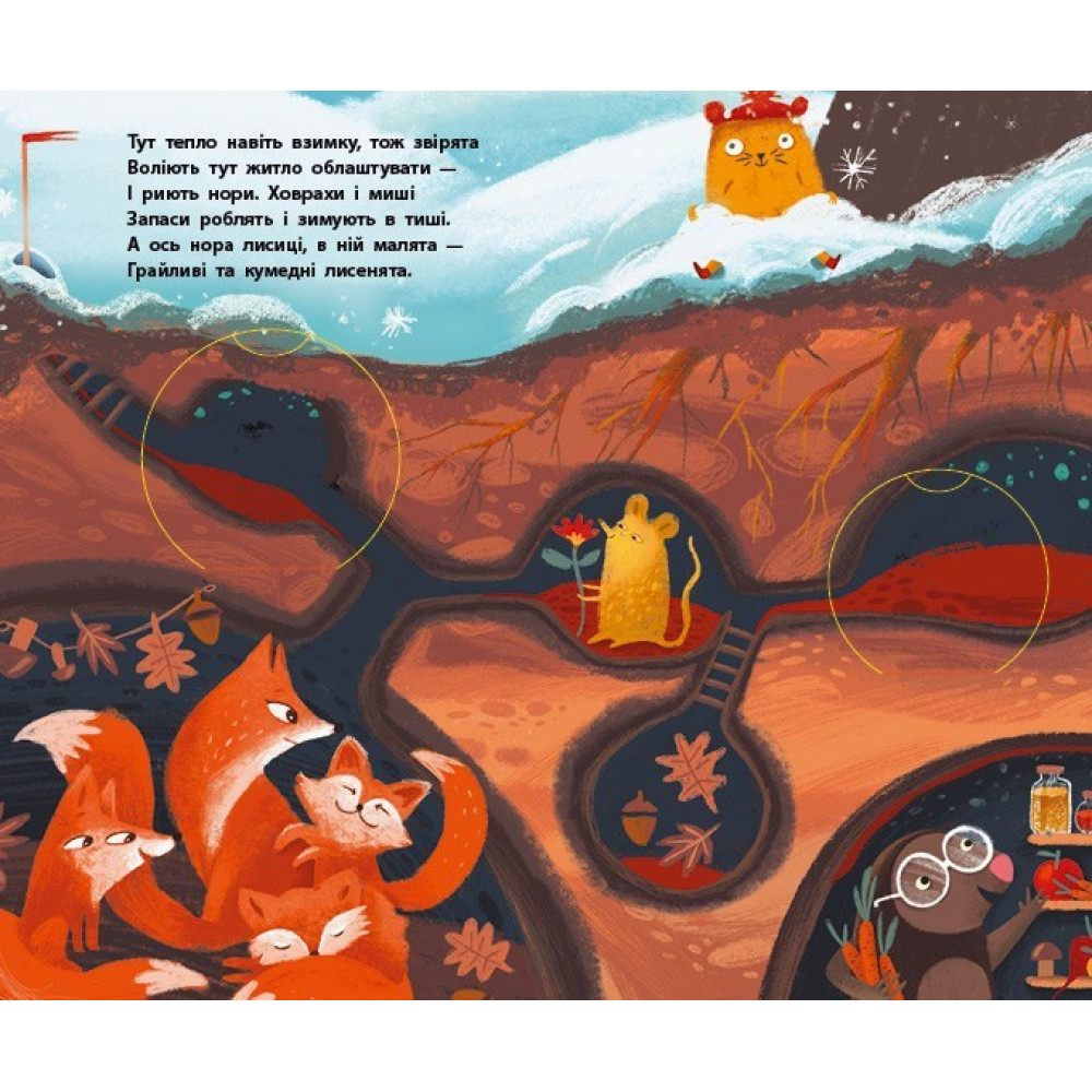 Книга Досліджуй! Нижче і нижче і нижче під землю З віконцями Ранок Андрусяк І.М. Книга Досліджуй! Нижче і нижче і нижче під землю З віконцями Ранок Андрусяк І.М.