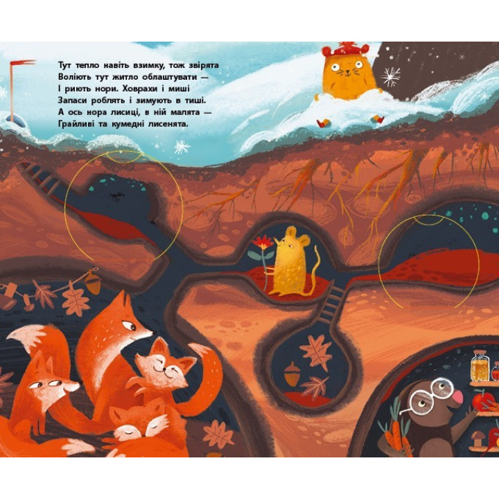 Книга Досліджуй! Нижче і нижче і нижче під землю З віконцями Ранок Андрусяк І.М.