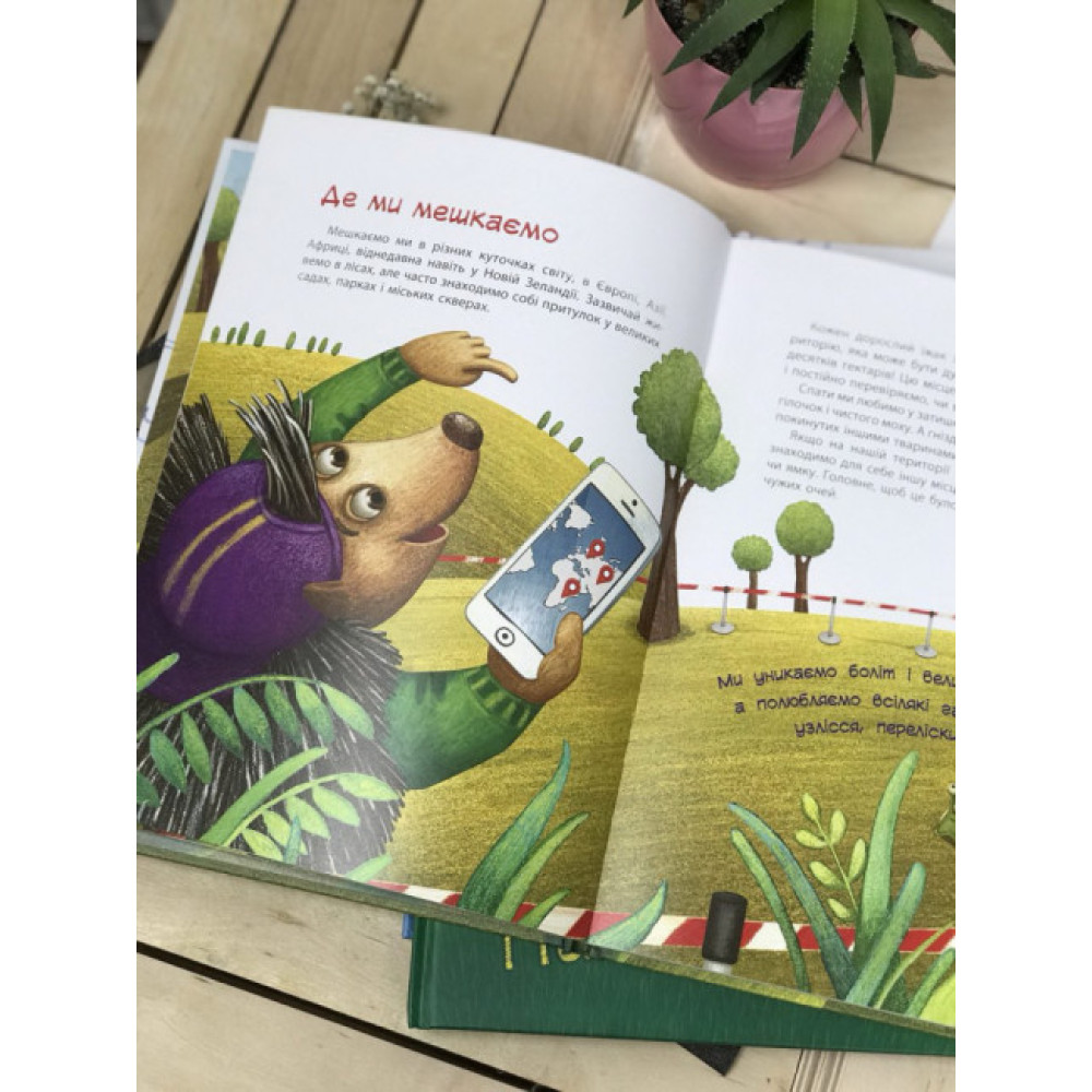Книга Пан Їжак Зірки Pro Ранок Олексій Горбунов Книга Пан Їжак Зірки Pro Ранок Олексій Горбунов