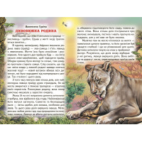 Оповідки про тварин. Белкар-книга Оповідання. Веселка