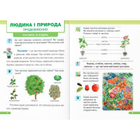 НУШ-2 Підручник Пiдручники i посiбники Я досліджую світ 1 клас Частина 2 Жаркова