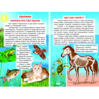 Тварини і рослини Белкар-книга Пізнаємо світ разом