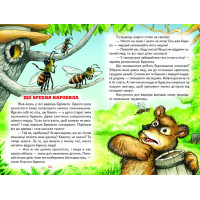Лісова наука Белкар-книга Веселка